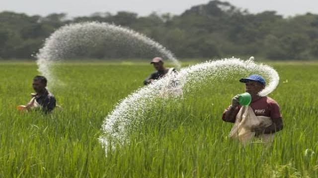 বেশী দামে সার