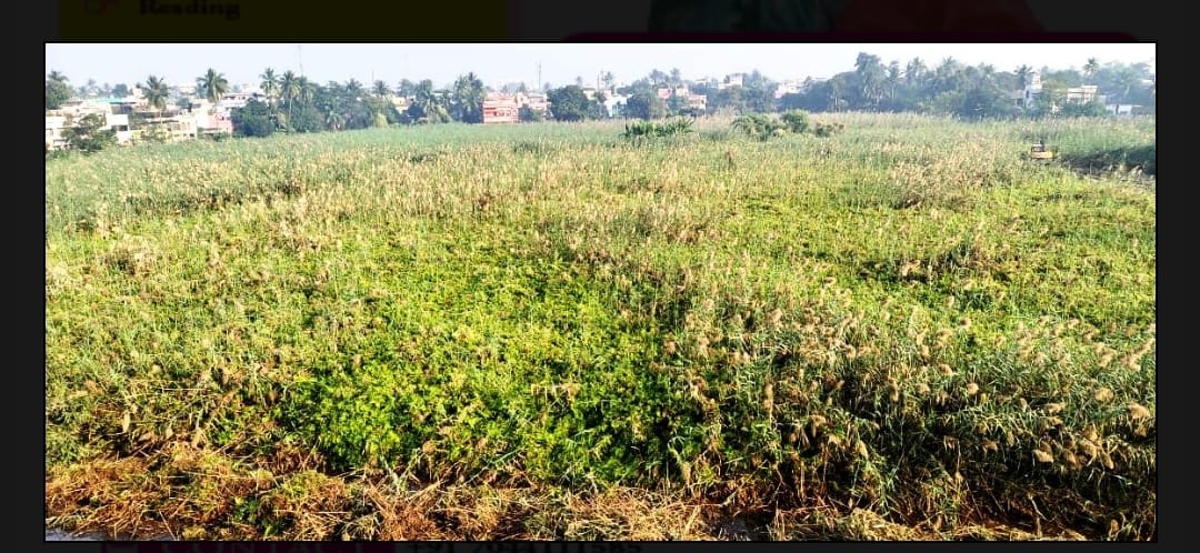 Burdwan Municipality : পৌরসভার আইনকে বুড়ো আঙ্গুল দেখিয়ে বর্ধমান শহরে অবাধে চলছে পুকুর বোঝানোর কাজ, পৌরসভার ভূমিকা নিয়ে উঠছে প্রশ্ন!