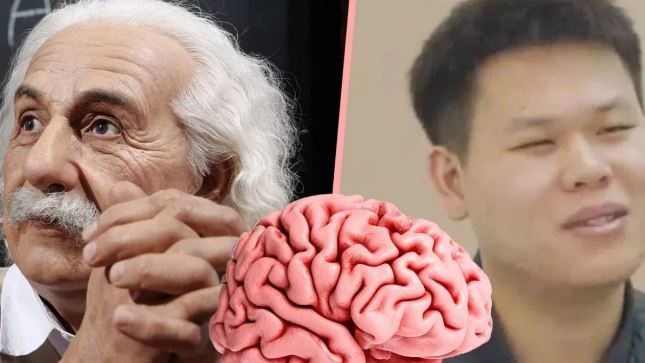 Einstein's brain : ‘আইনস্টাইনের ব্রেইন’ বিক্রি করে কোটিপতি ! ২২ বছরের চিনা যুবকের কাণ্ডে হইচই
